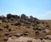 Success for the Legal Forum as Planning Council Appeals Committee Rejects Plans For a Waste Disposal Site near Rimonim